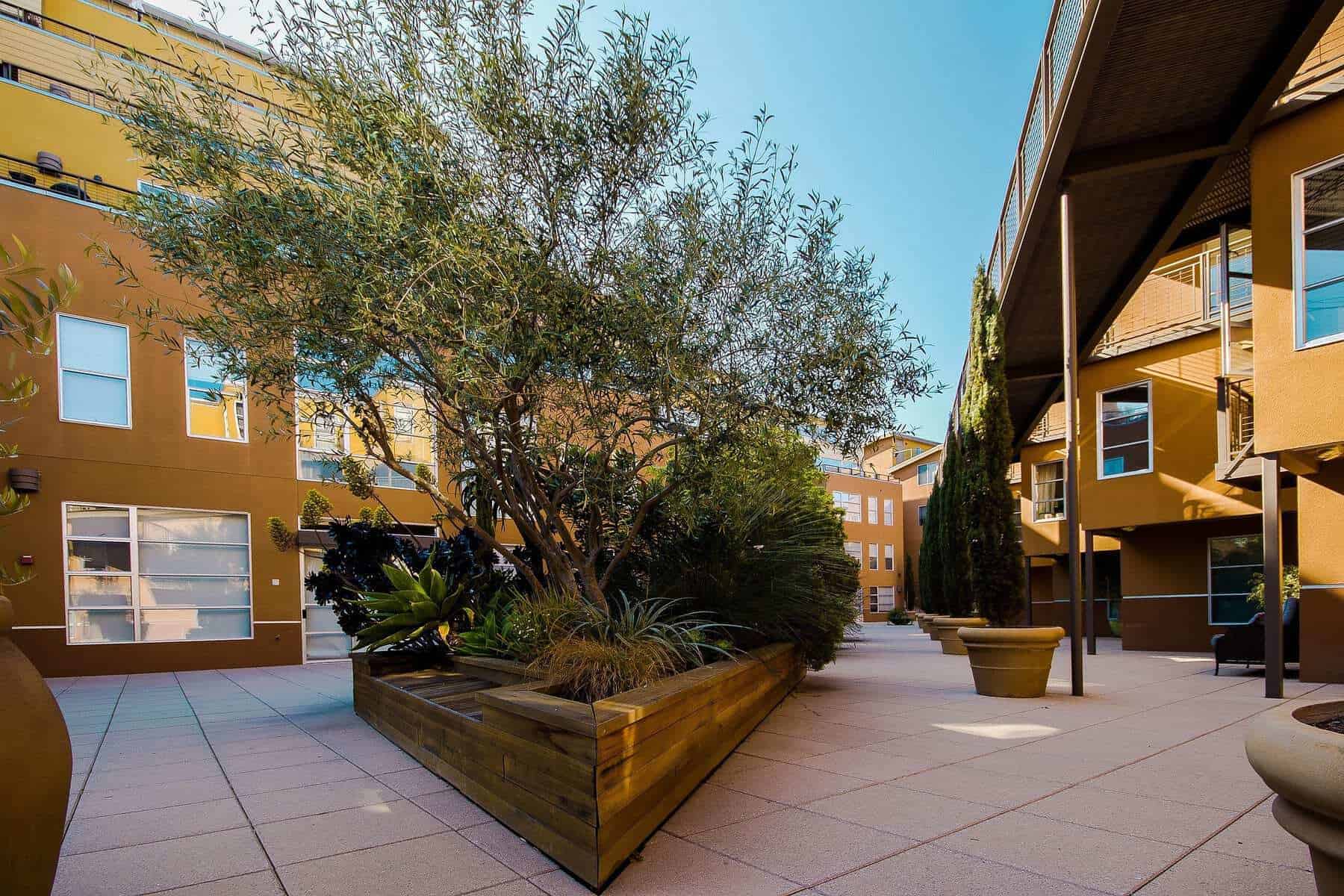 Unlock a Credit Card Bonus: Best Tips for 2026 - court yard 641155 1920