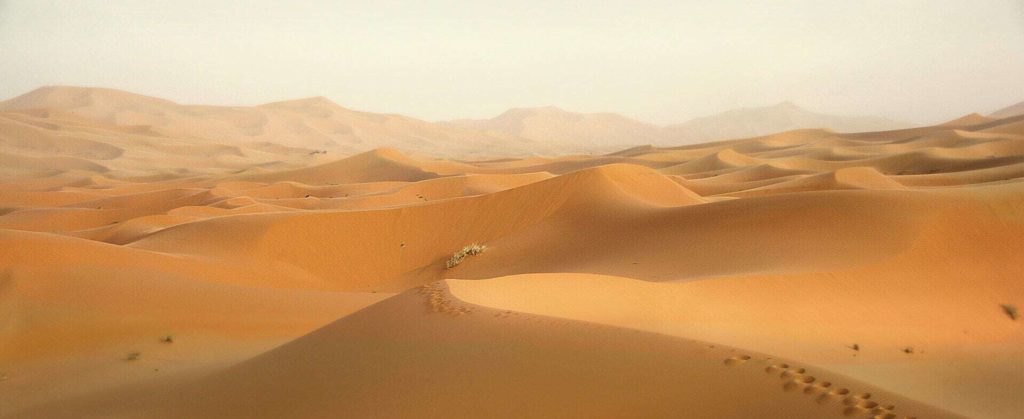 Les cartes de crédit à éviter - desert 2435405 1920