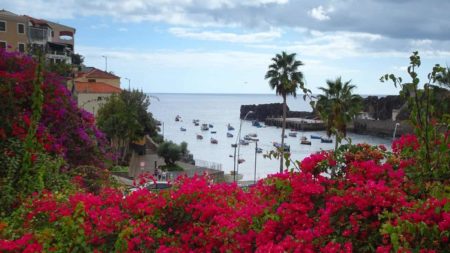 A Nine Day Trip to Madeira - Madeira 1