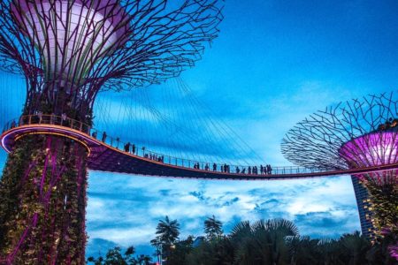 Afrique du Sud : Johannesburg | Voyage En Famille - Semaine Singapour Marina