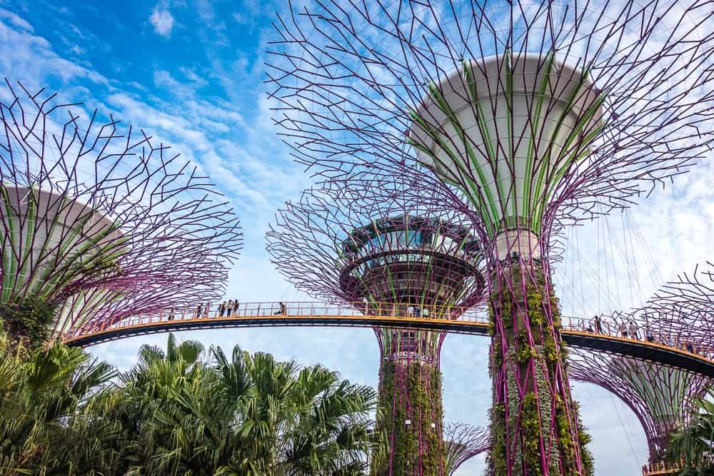 Afrique du Sud : Johannesburg | Voyage En Famille - Semaine Singapour Marina Bay