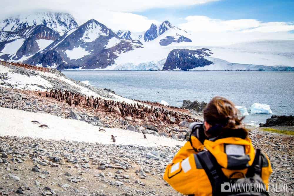 Antarctique : Guide de voyage en Antarctique - Introduction