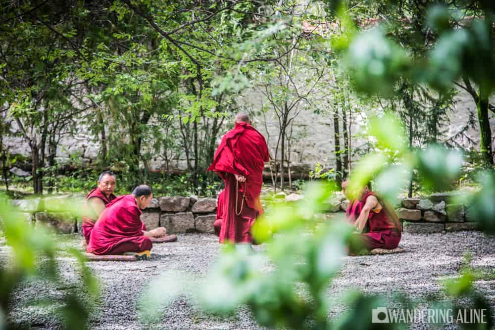 Our Tibet Travel Guide - Teaching De Moines