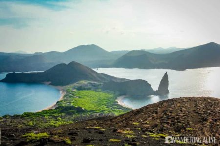 Our Travel Guide to the Galapagos Islands - Galapagos