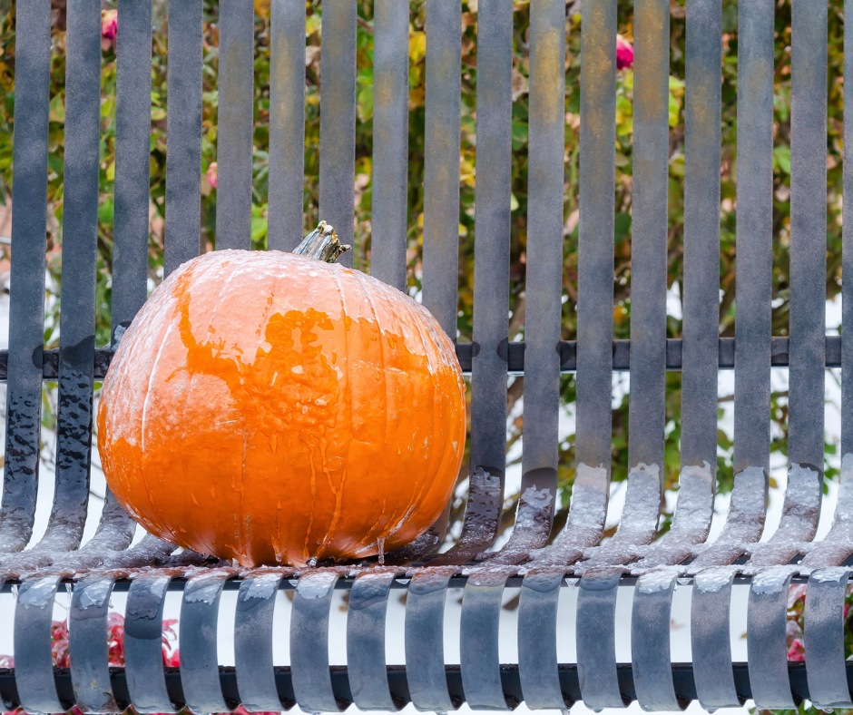 What to do in Quebec in November - November