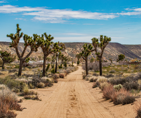 United States : Road Trip Southern California | Deserts and Vineyards - Pioneertown