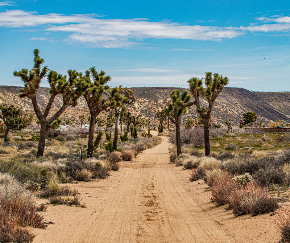 United States : Road Trip Southern California | Deserts and Vineyards - Pioneertown