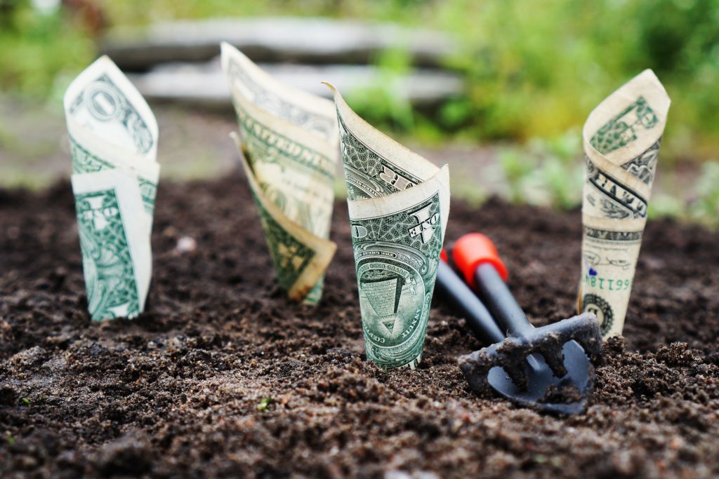Optimize your RRSP and FHSA tax refund with your points - money