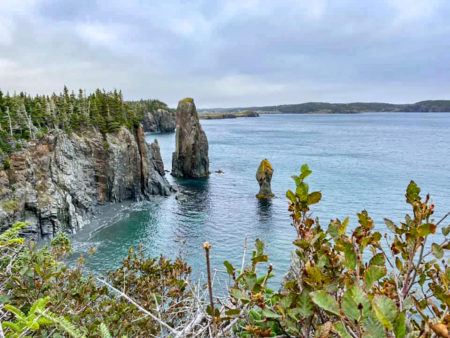Canada : Travel to Newfoundland | Itinerary and Highlights - Skerkwink trail