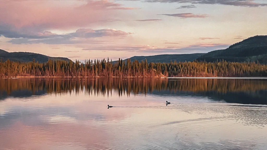 Travel to Yukon : Vanlife and active life ! - Yukon