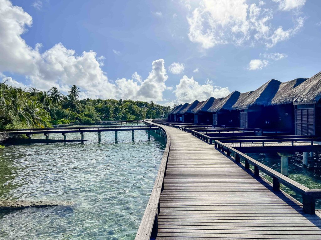 Avis : Sheraton Maldives Full Moon Resort & Spa | Marriott Bonvoy - Sheraton Maldives Full Moon Resort & Spa-6333