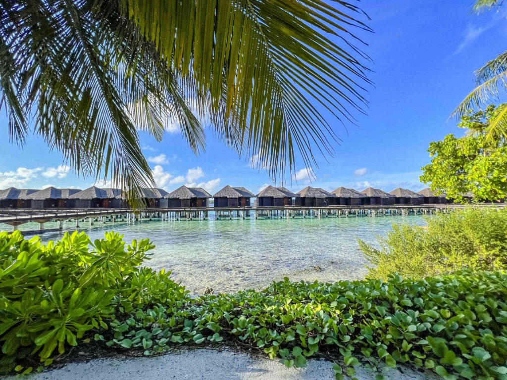 Avis : Sheraton Maldives Full Moon Resort & Spa | Marriott Bonvoy - Sheraton Maldives Full Moon Resort & Spa-6429