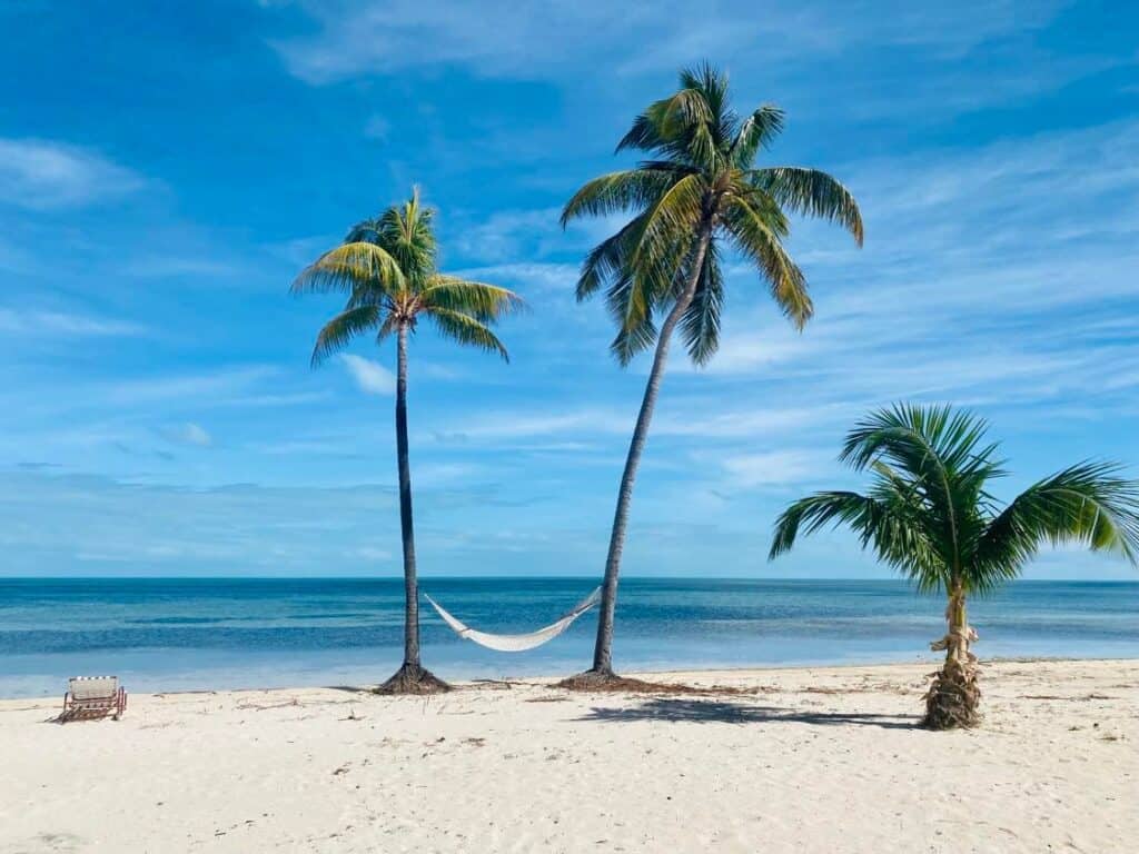Bahamas : Guide de voyage aux Bahamas | Freeport et Grand Bahama - 328656501 1236608160258930 5248124544832338427 n 1