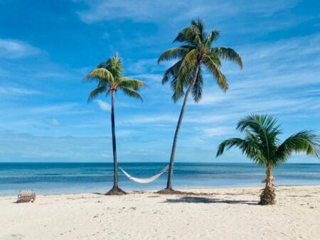 Our Bahamas travel guide: Freeport and Grand Bahama - 328656501-1236608160258930-5248124544832338427-n -1-
