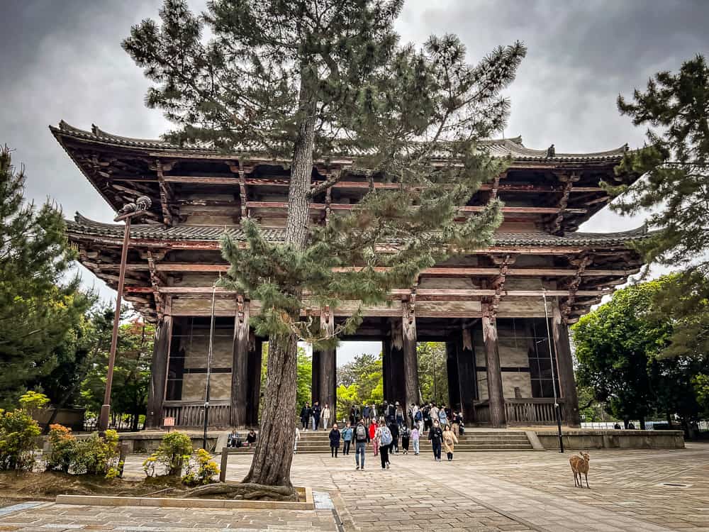Nara must-sees: The ultimate guide to Japan's city of sacred deer - Nara, Japon-04