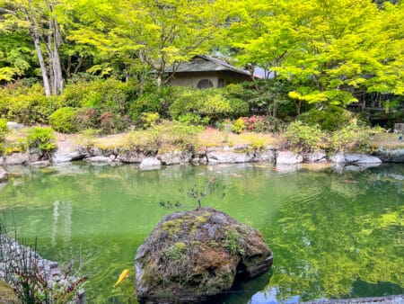 Avis : The Prince Kyoto Takaragaike, Autograph Collection | Marriott Bonvoy - The Prince Kyoto Takaragaike, Autograph Collection