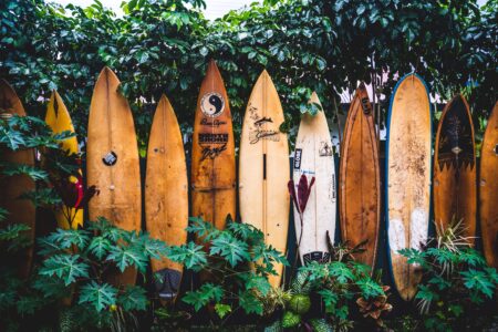 United States : Hawaii Travel Guide | Itineraries and Highlights - Unsplash