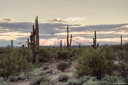 United States: Arizona Travel Guide - Phoenix 6- Crédit Jonathan R