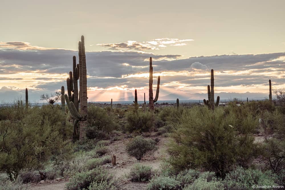 États-Unis : guide de voyage en Arizona - Phoenix 6 Crédit Jonathan R