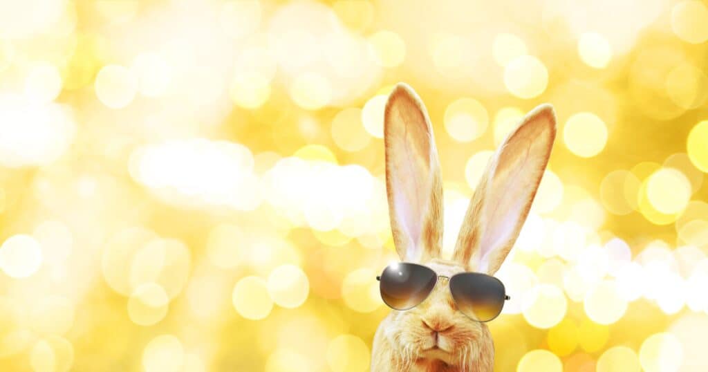 Ideas for Easter vacation activities - easter bunny
