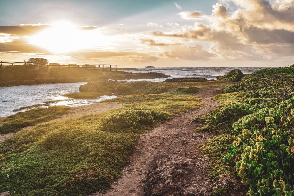 États-Unis : guide à Oahu, Hawaï | Itinéraires et incontournables - Camping Laie 8