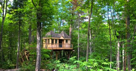 Canada: unusual accommodations in Quebec - Gite-arbre-2400X1260