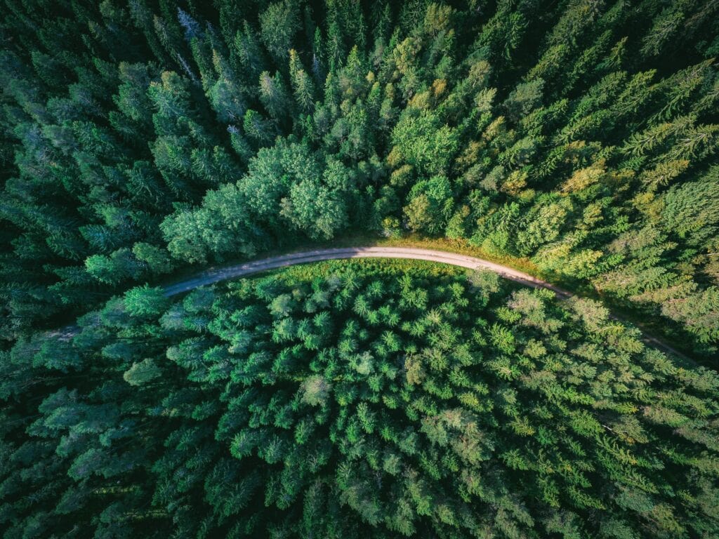 La TD et MBNA s&rsquo;engagent pour le reboisement au Canada - bc forets unsplash