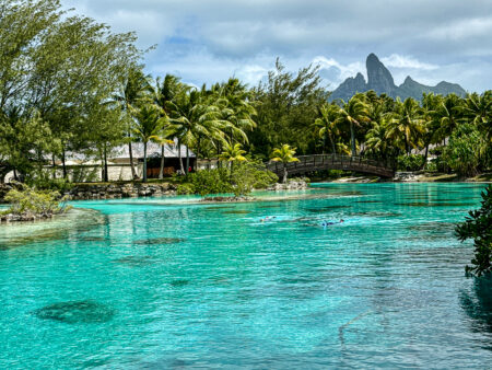 Avis : The St. Regis Bora Bora Resort | Marriott Bonvoy - The St Regis Bora Bora Resort 37