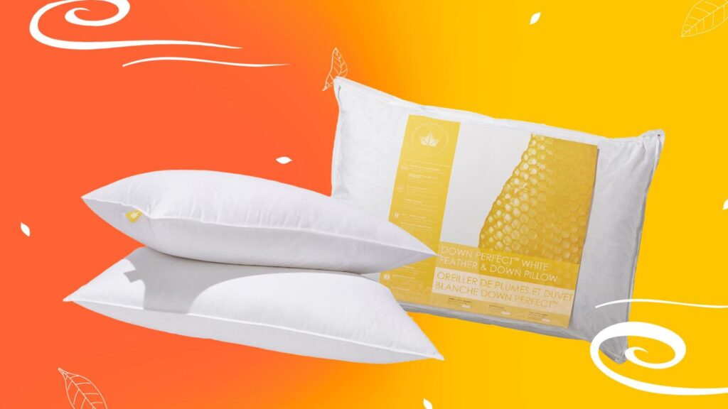 eBoutique A&eacute;roplan : 20x les points chez Canadian Down & Feather Company - page couverture 2