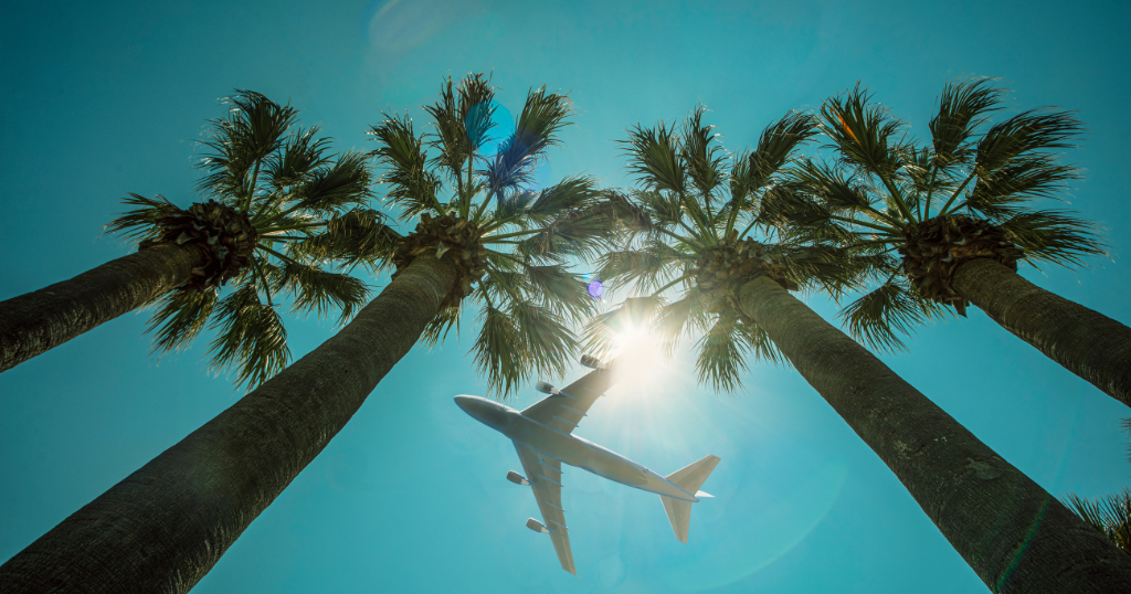 Économisez sur les vols grâce au barème d’échange des primes voyages aériens de RBC - Avion au-dessus des palmiers