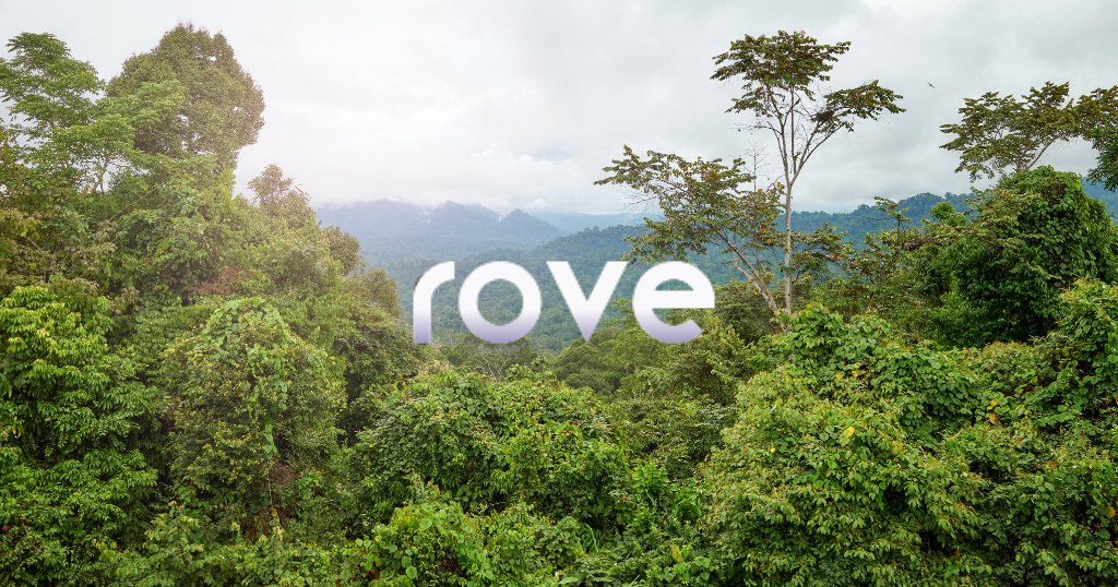 Guide: Rove Miles - Rove Miles Guide Canada featured image